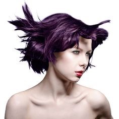 Deep Purple Dream