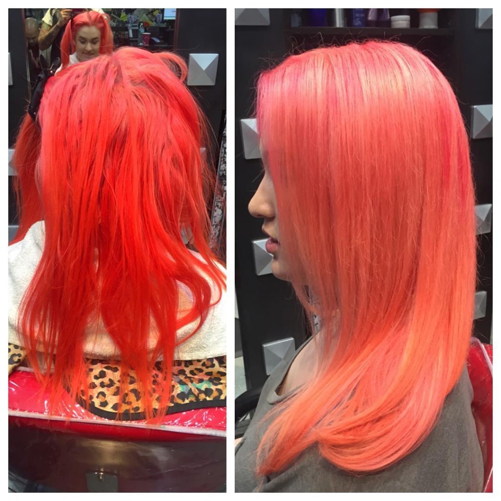 Pretty Flamingo
