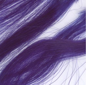 Violet Night™